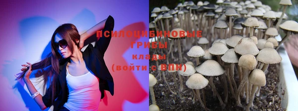 ешки Белоозёрский