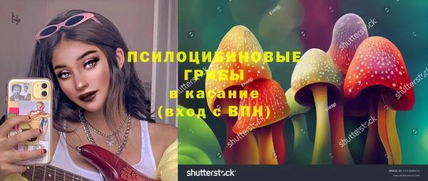 ешки Белоозёрский