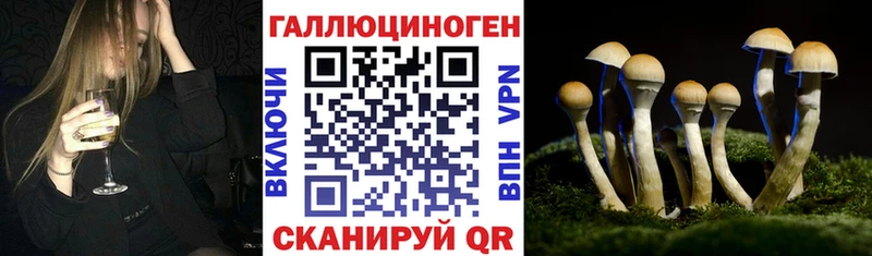 сколько стоит  Жиздра  Псилоцибиновые грибы мицелий 