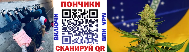 закладки  Жиздра  Бошки Шишки семена 